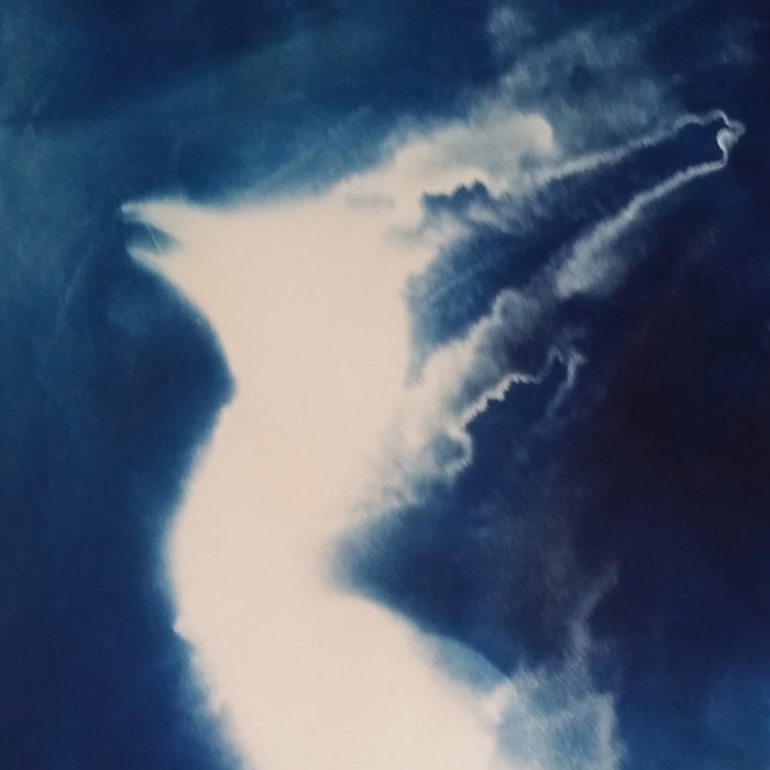 The artwork 'Embryonic Stage 3' features ethereal cyanotype prints in deep Prussian blue and white, creating abstract cloudlike formations reminiscent of ultrasound imagery. The composition showcases fluid, organic shapes with dramatic contrasts and dreamy, floating textures on paper. 24x19 inches. By Johanna Ryan.