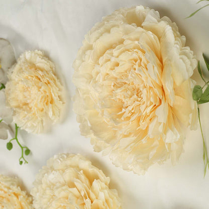 Cream-colored paper flowers arranged artistically on a light background.